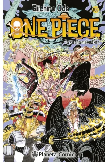 ONE PIECE Nº 102