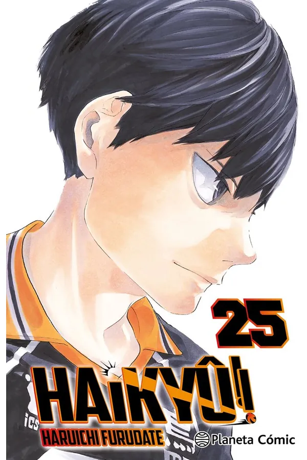 Portada del manga HAIKYU 25 - Yakuza Manga