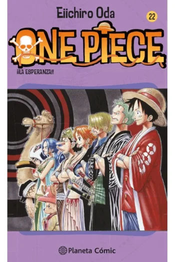 ONE PIECE 22