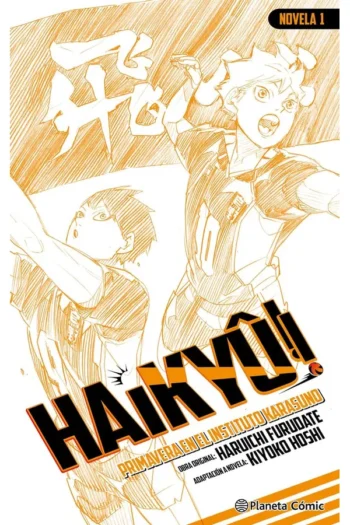 Portada del manga HAIKYU NOVELA 1 - Yakuza Manga