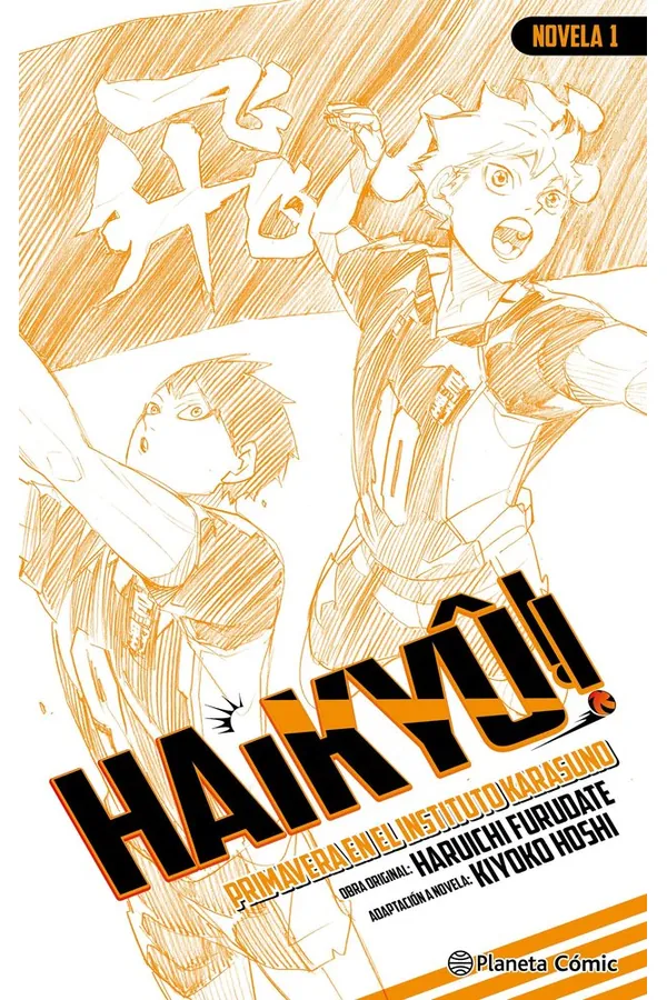 Portada del manga HAIKYU NOVELA 1 - Yakuza Manga