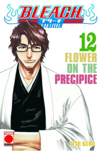 Portada del manga BLEACH BESTSELLER 12 FLOWER ON THE PRECIPICE - Yakuza Manga