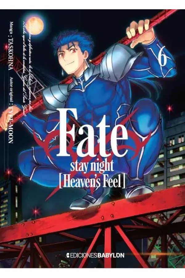 FATE STAY NIGHT HEAVENS FEEL 6