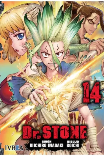 DR STONE 14