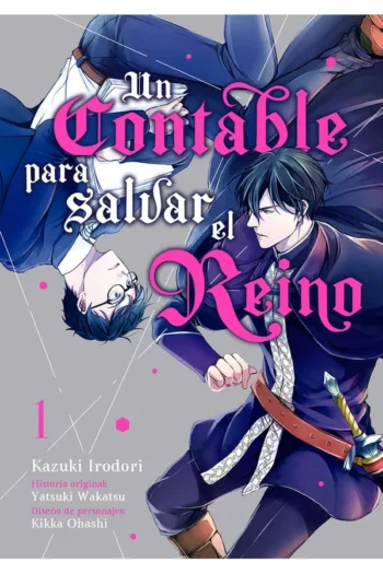 UN CONTABLE PARA SALVAR EL REINO VOL 1
