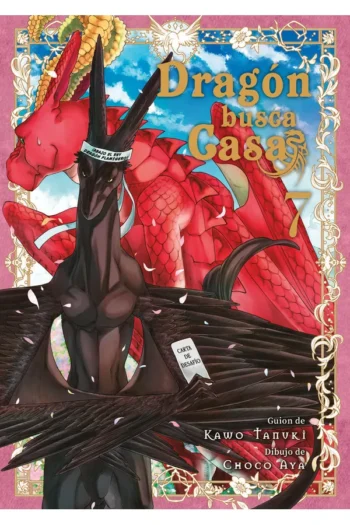DRAGON BUSCA CASA 7