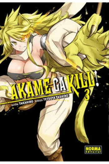 AKAME GA KILL 3