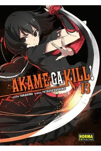 AKAME GA KILL 13