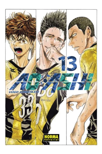 Portada del manga AO ASHI 13 - Yakuza Manga