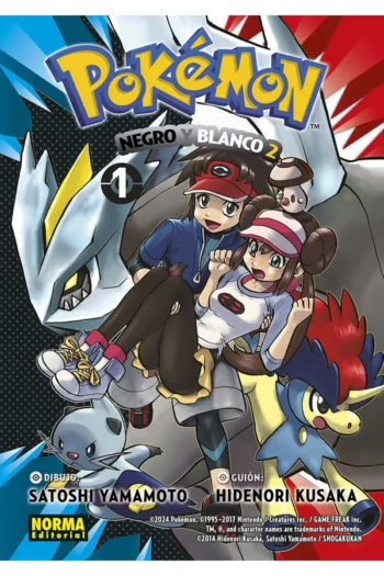 POKEMON 31 NEGRO Y BLANCO II 1