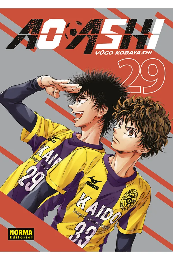AO ASHI 29