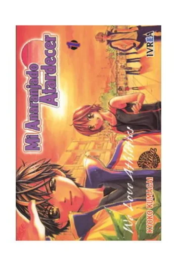 MI ANARANJADO ATARDECER 1