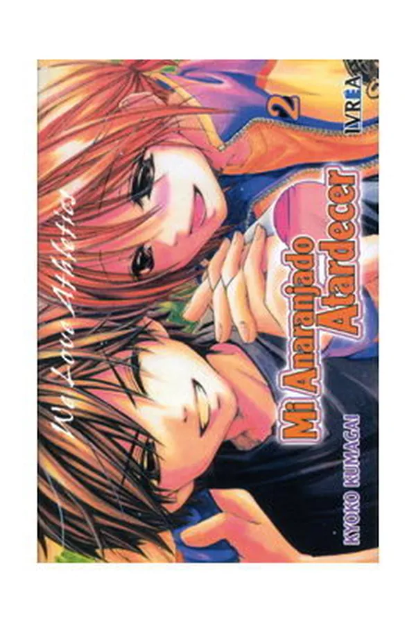 MI ANARANJADO ATARDECER 2