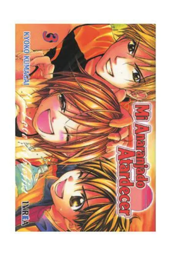 MI ANARANJADO ATARDECER 3