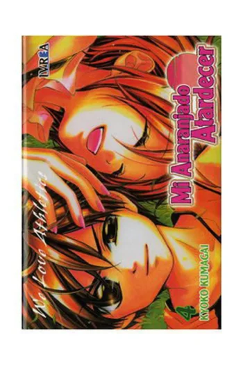 MI ANARANJADO ATARDECER 4