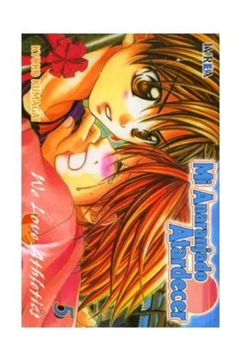 MI ANARANJADO ATARDECER 5