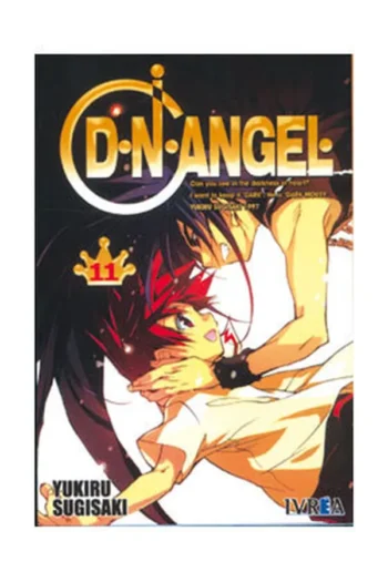 D N ANGEL 11
