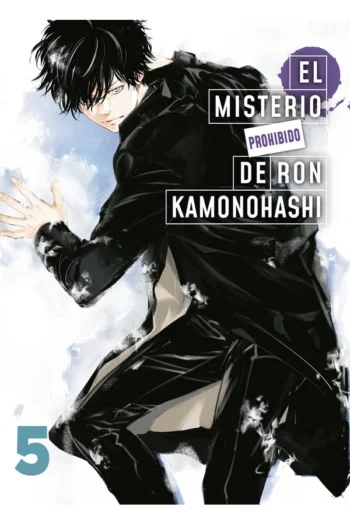 EL MISTERIO PROHIBIDO DE RON KAMONOHASHI 5