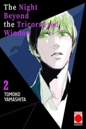 THE NIGHT BEYOND THE TRICORNERED WINDOW 2