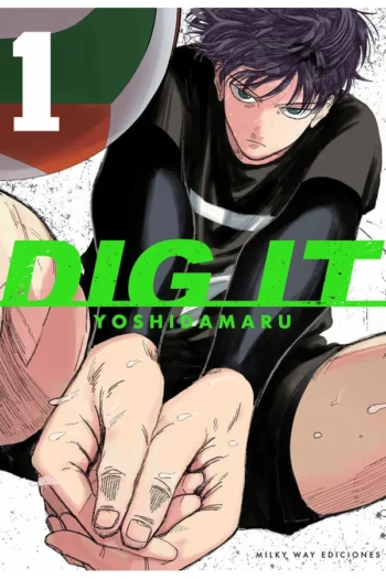 DIG IT VOL 1